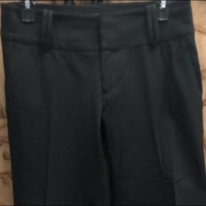 Women’s David Britton Buffalo Wide Leg Dress Pant